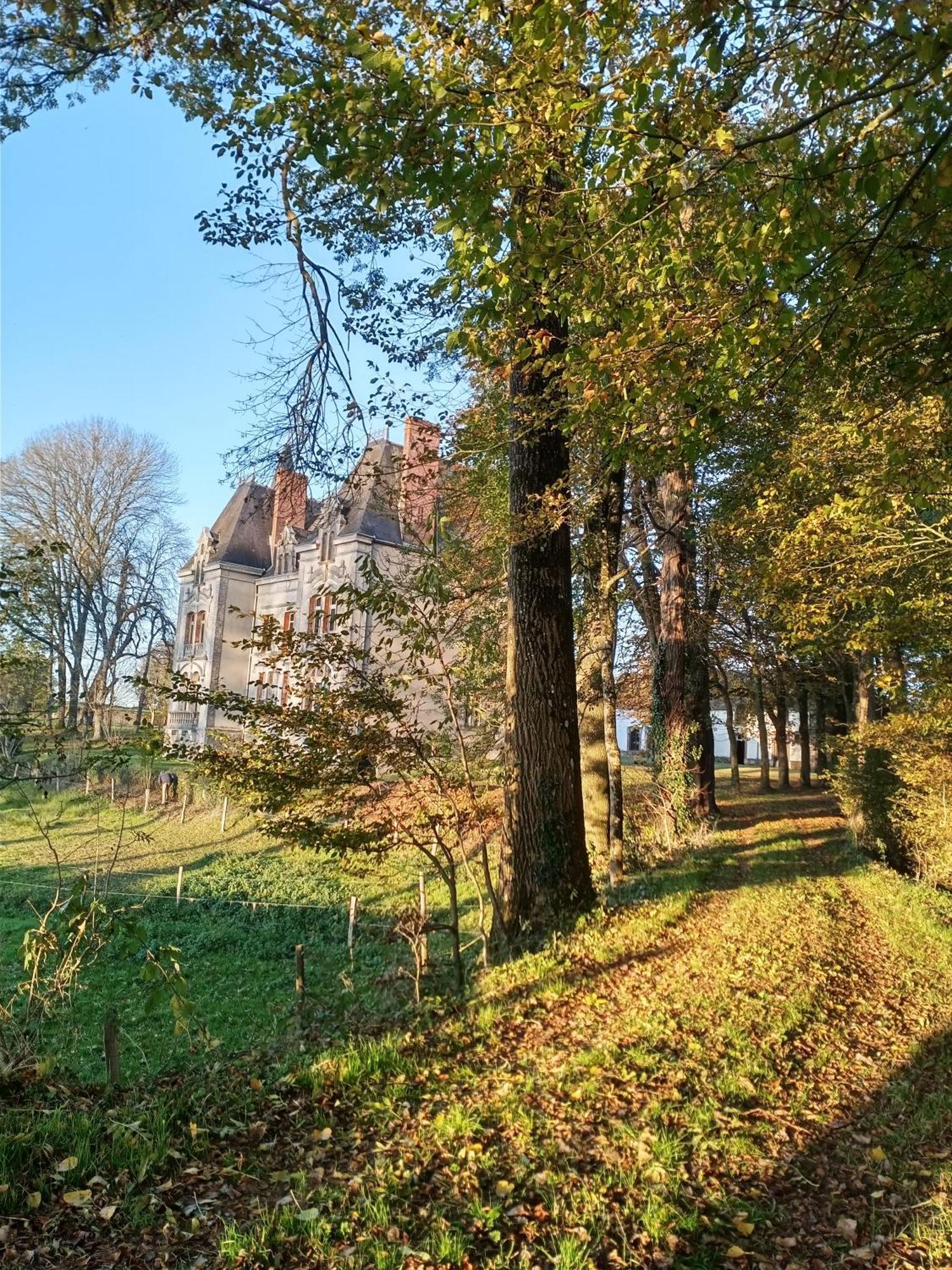 Le Chateau Du Grand Coudray Villaines-la-Juhel Esterno foto