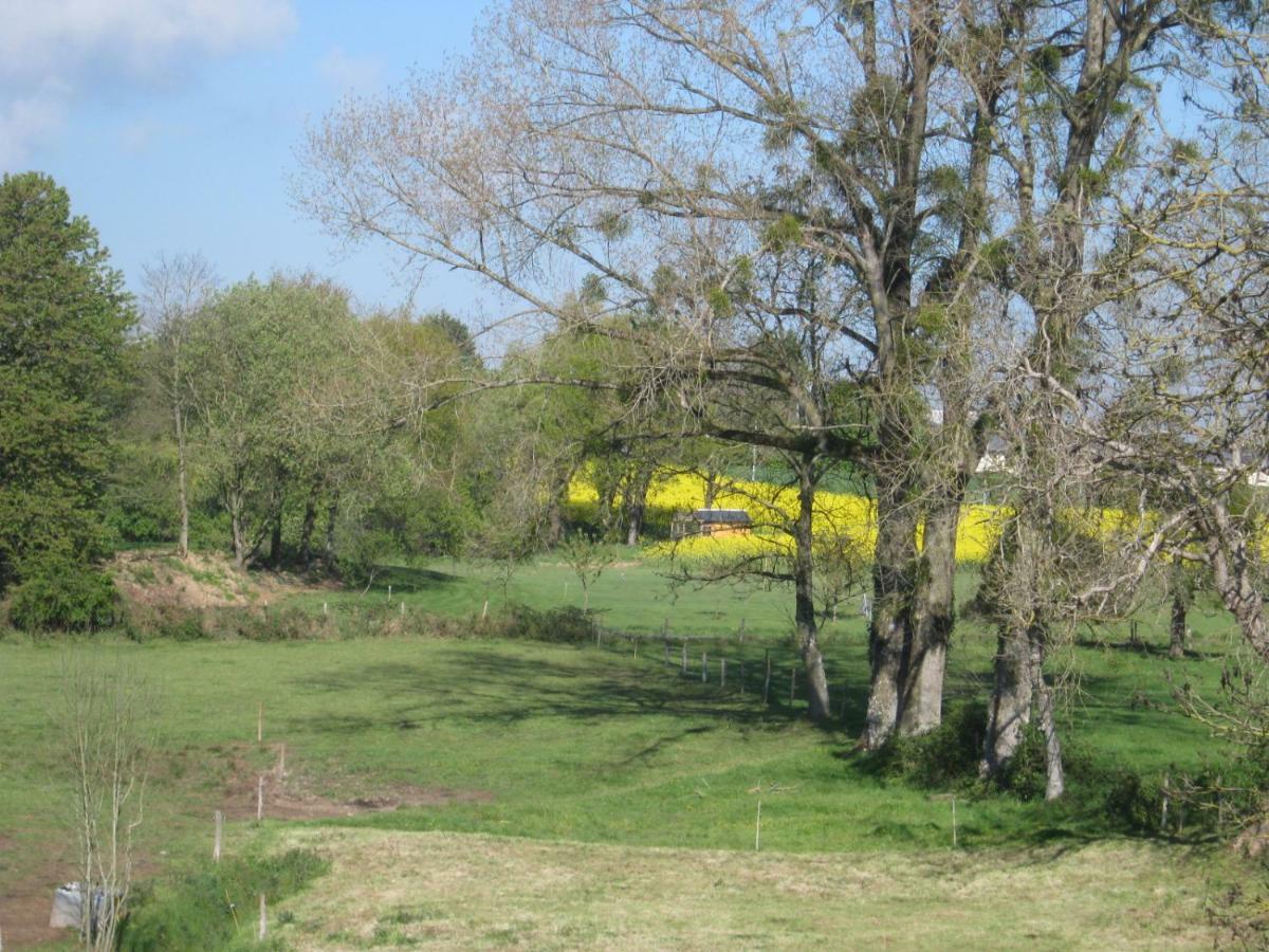 Le Chateau Du Grand Coudray Villaines-la-Juhel Esterno foto