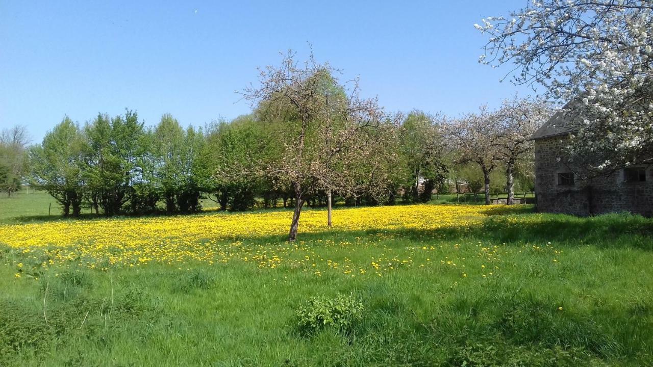 Le Chateau Du Grand Coudray Villaines-la-Juhel Esterno foto